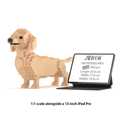 Dachshund 02-M03