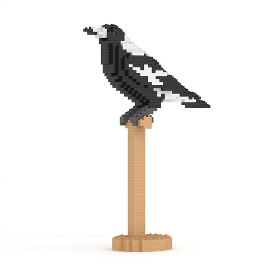 Australian Magpie 01S