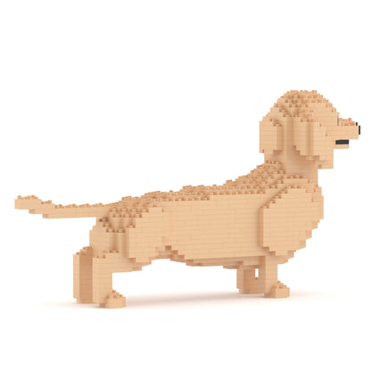 Dachshund 02-M03