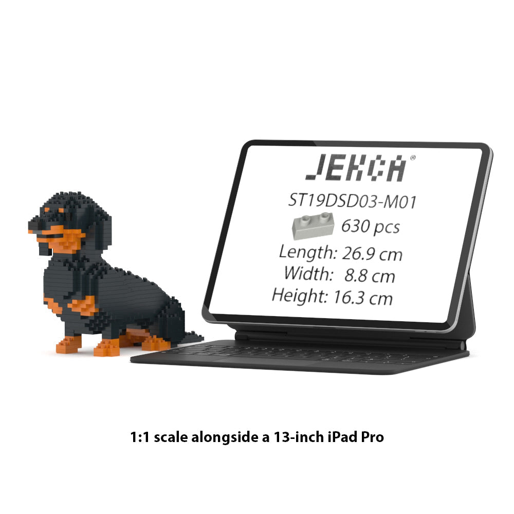 Dachshund 03-M01