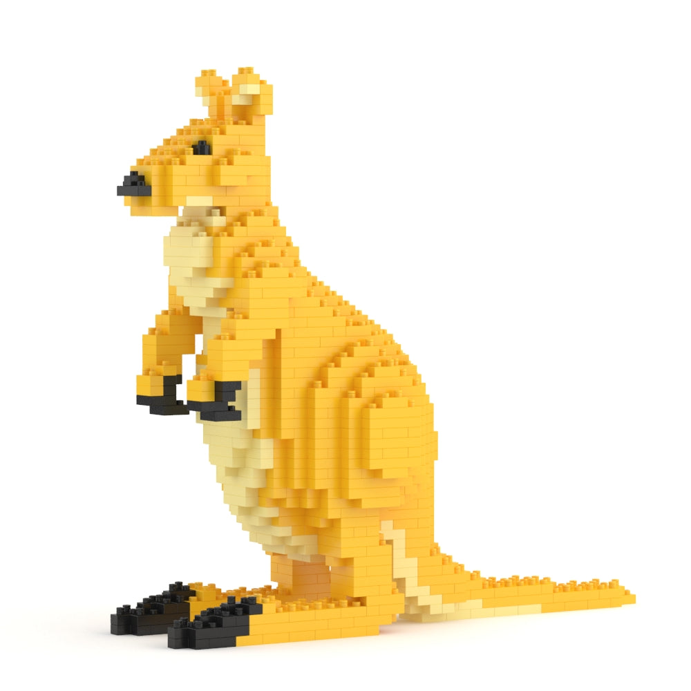 Kangaroo 01