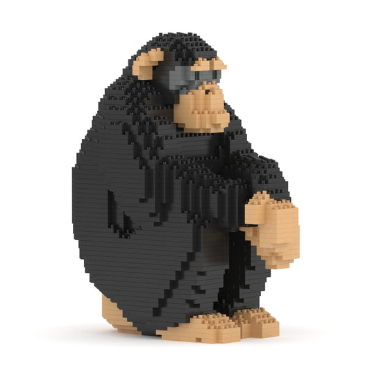 Chimpanzee 01