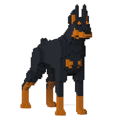 Doberman Pinscher 01-M01