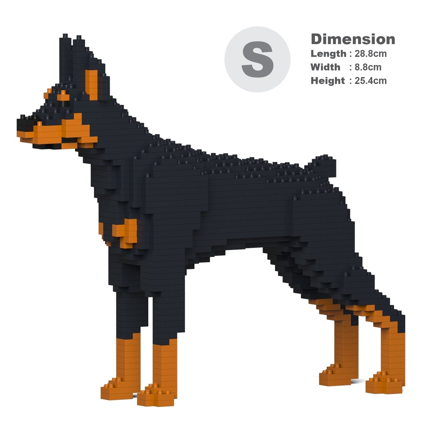 Doberman Pinscher 01-M01